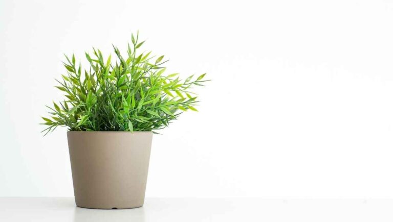 Are Artificial Plants Toxic? (What to Avoid to Stay Safe)