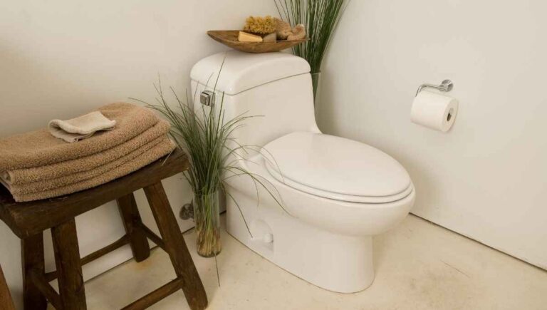 Can a Toilet Fall Through the Floor? (5 Signs to Watch For)