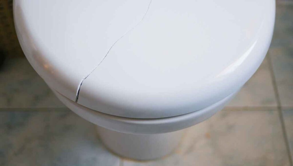 Cracked Toilet Seat