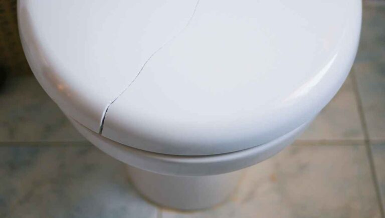 Cracked Toilet Seat? (Here’s What You Can Do to Fix It)