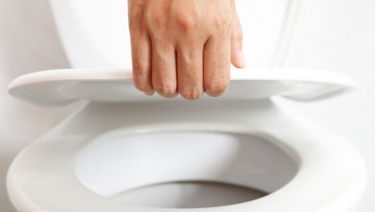 Are Toilet Lid Covers Sanitary? (What to Look Out For)
