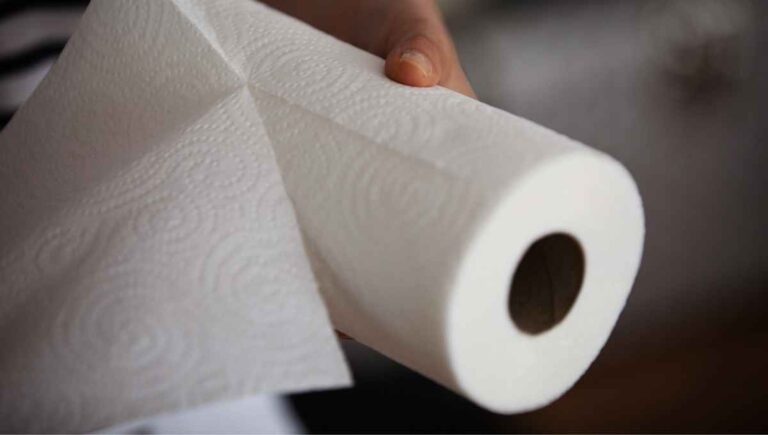 Does Charmin Make Paper Towels? (The Definitive Answer)