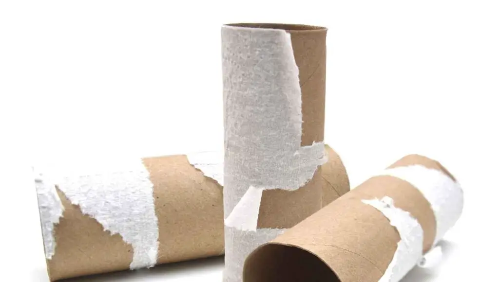 Are Empty Toilet Paper Rolls Recyclable