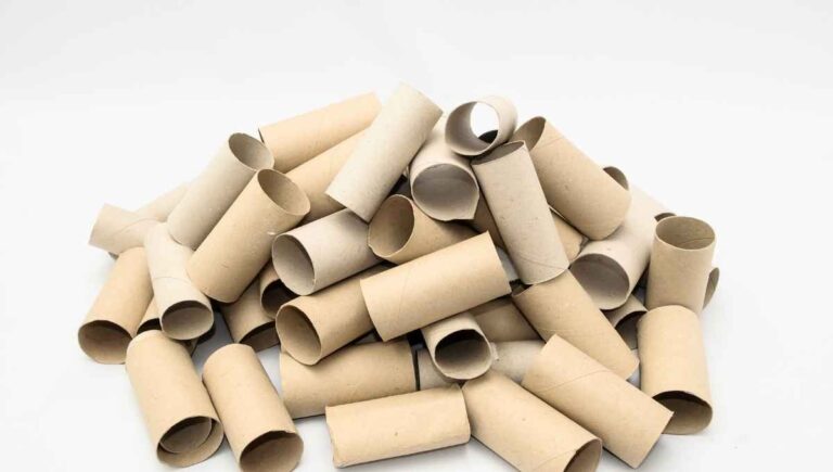 Are Toilet Paper Rolls Biodegradable? (An In-Depth Answer)