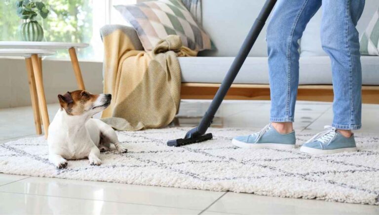 Can You Use a Vacuum Without a Belt? (Try Doing This First)