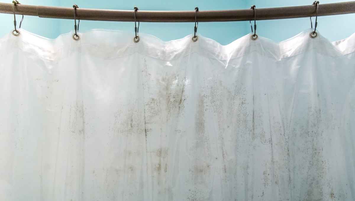 Do You Throw Away Shower Curtains