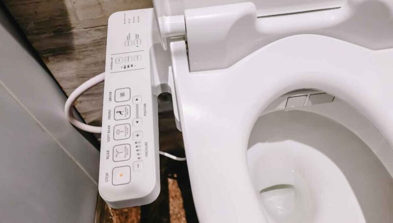 How Much Does It Cost to Replace a Toilet Seat? (We Checked)