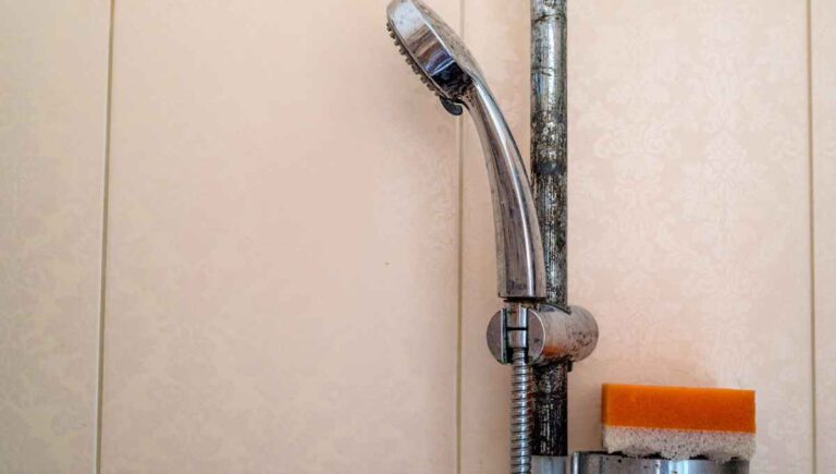Shower Rod Rusting? (Easy Tricks to Clean and Prevent Rust)