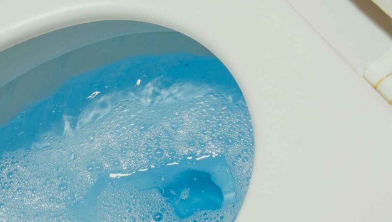Can Toilet Bowl Cleaner Kill a Dog or Cat? (Keep Them Safe)